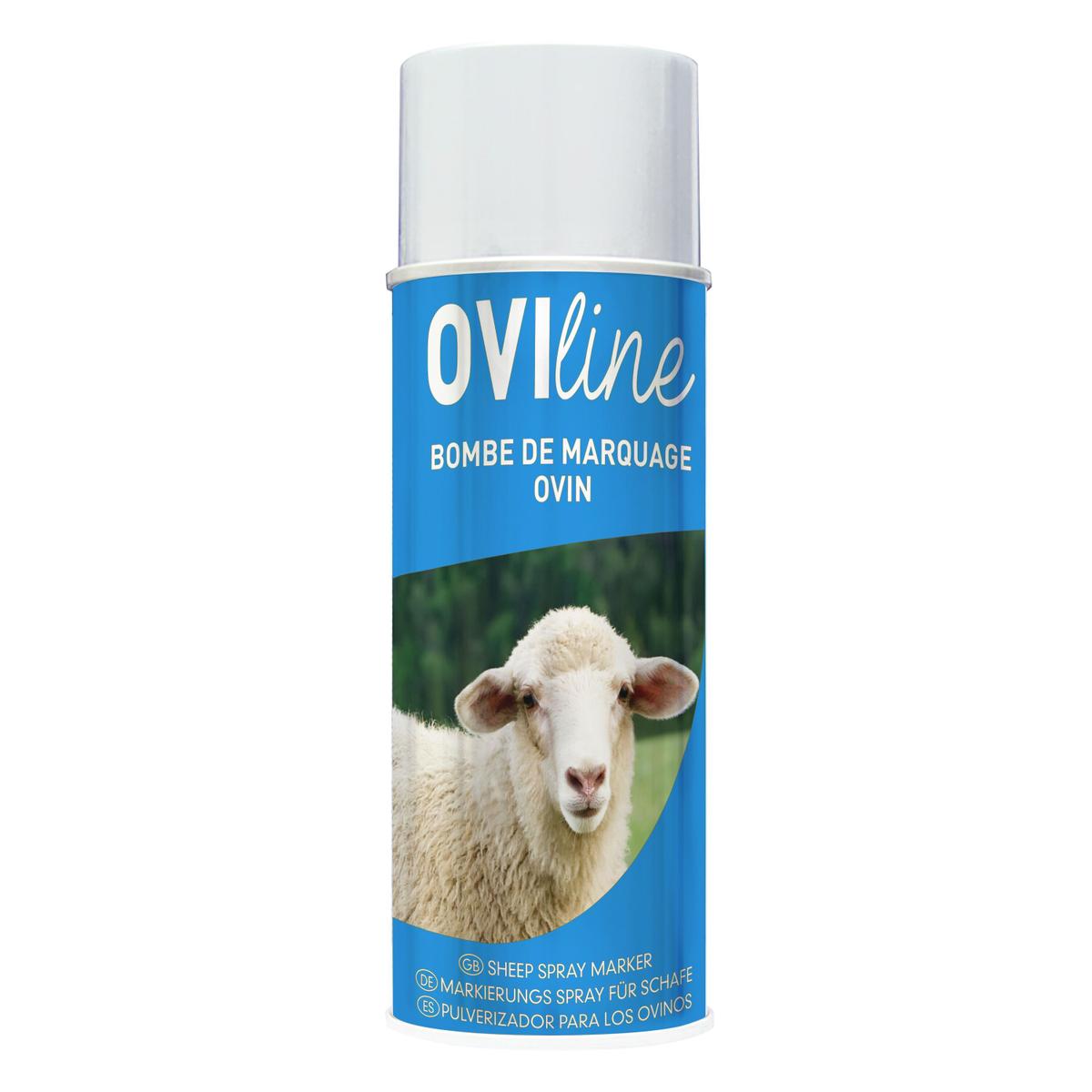 product/u/k/ukal_108316006_bleu_1.jpg