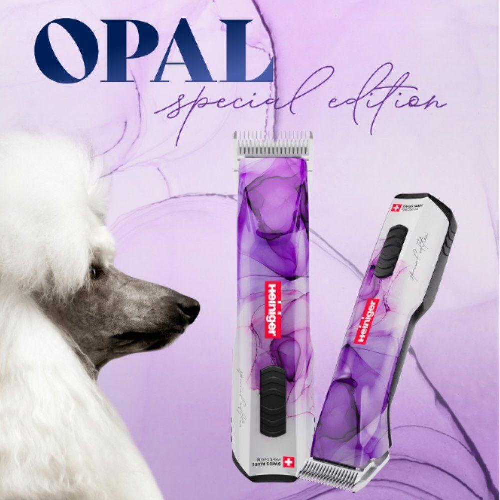 product/u/k/ukal_154420200_violet_2.jpg