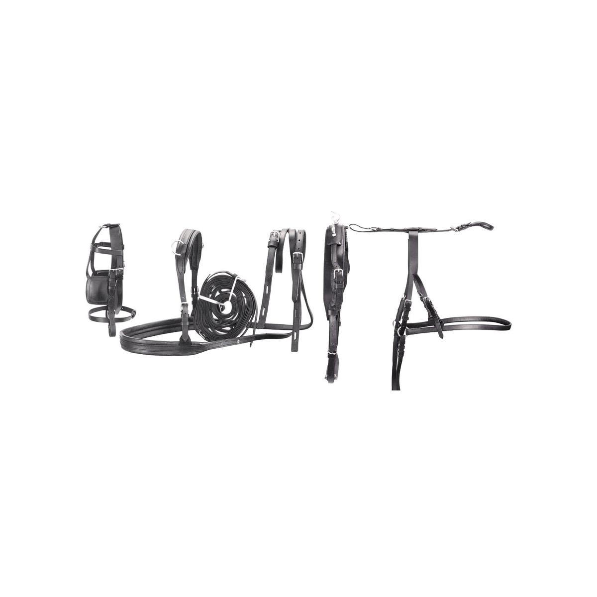 product/u/m/umbria-equitazione_se00570_noir_1.jpg