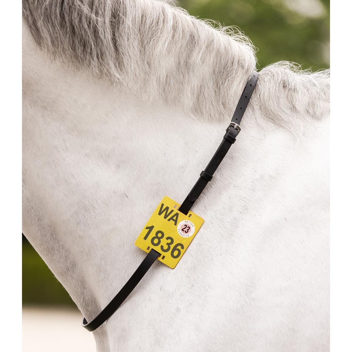 product/w/a/waldhausen_817901-pon_2.jpg