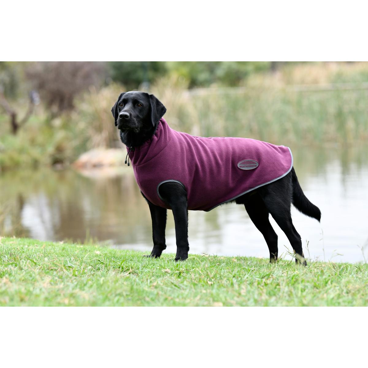 product/w/e/weatherbeeta_1003457085_2.jpg