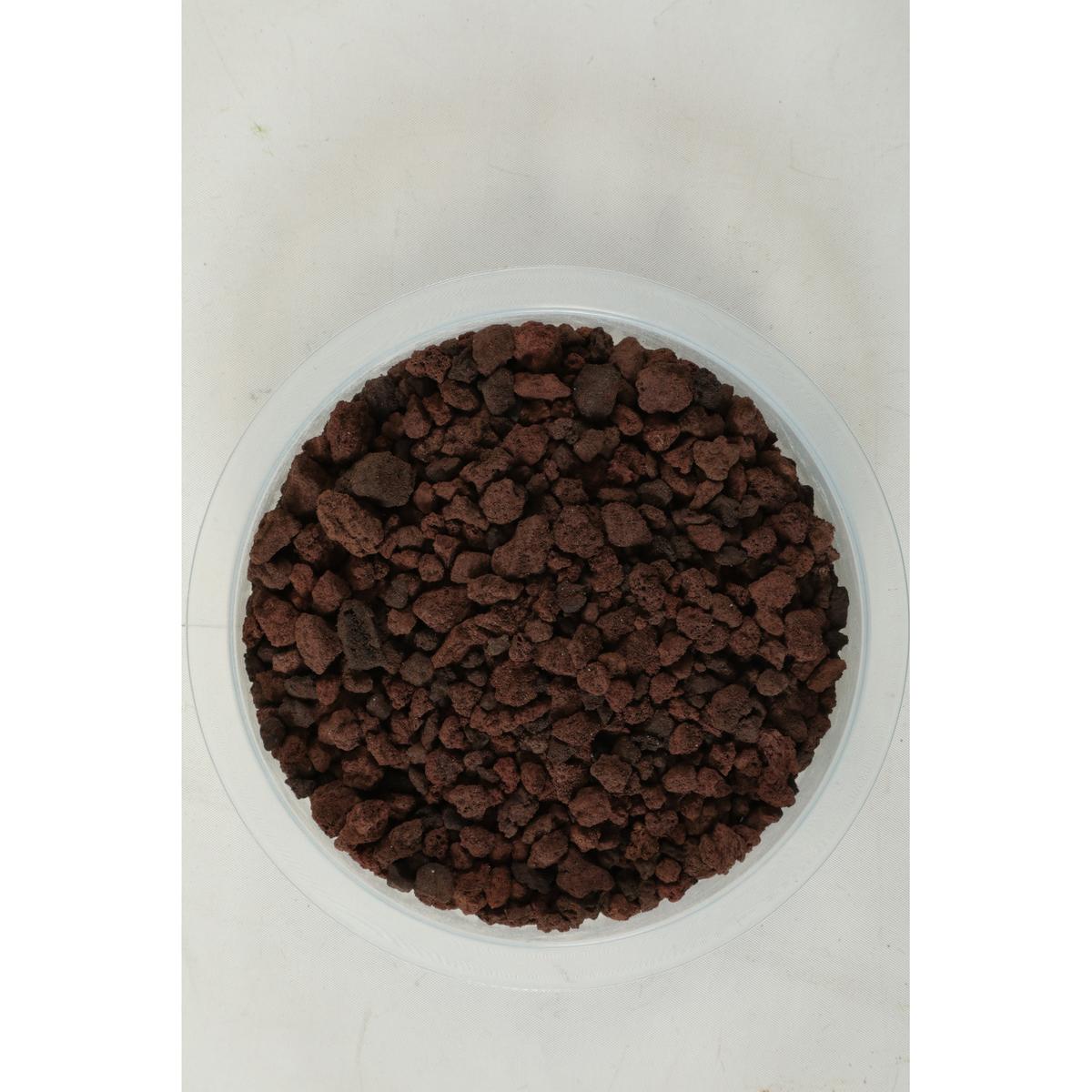 product/z/o/zolux_346507_0.jpg