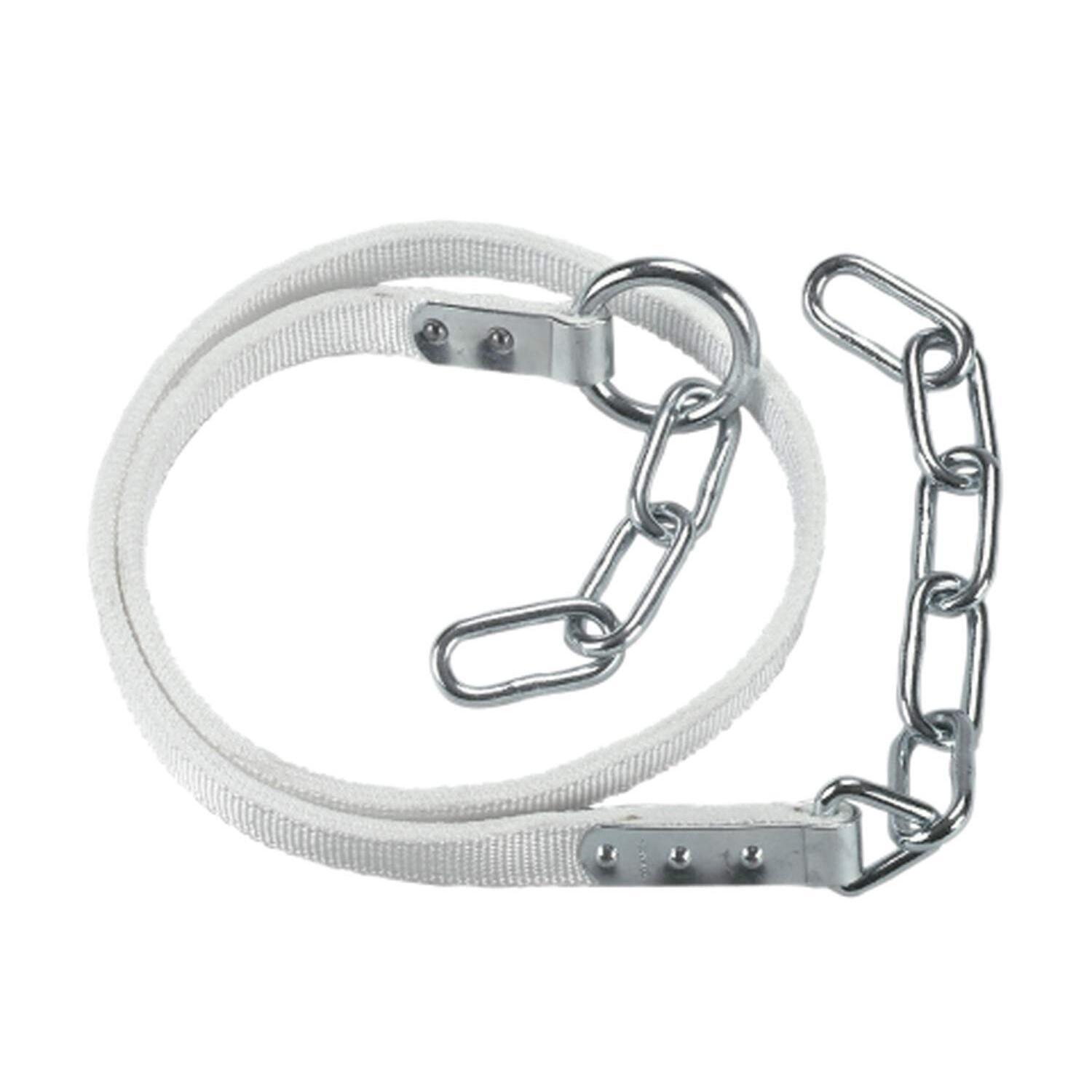 product/1/2/1255.jpg