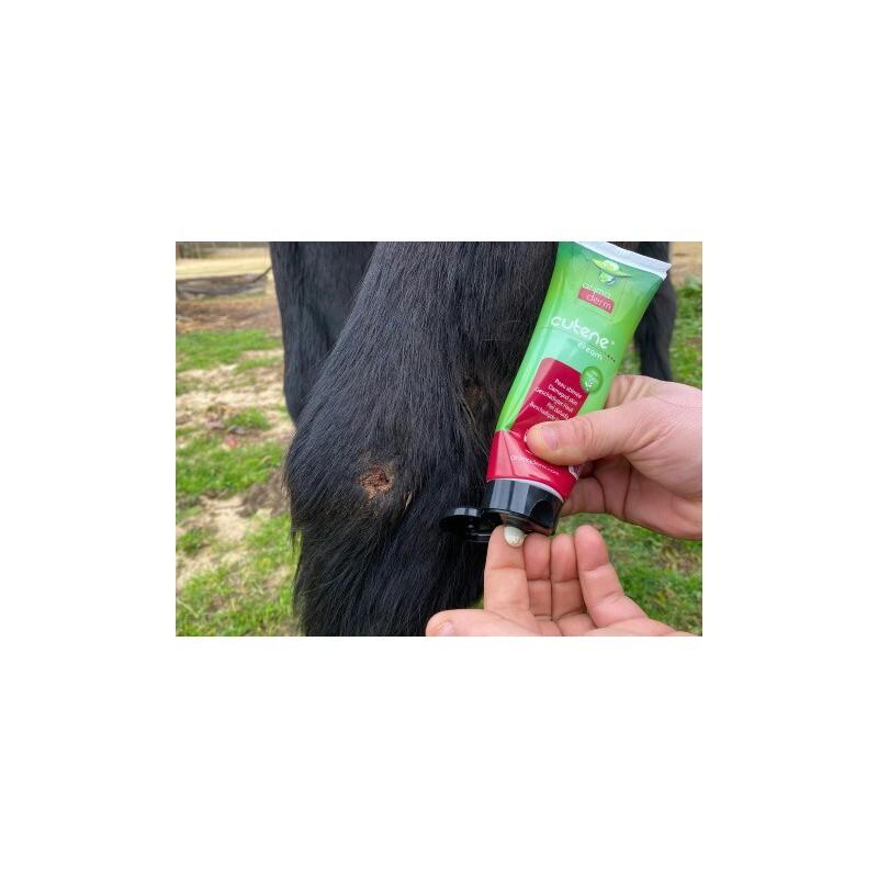 product/a/n/animaderm_725005020_vert-rose_3.jpg