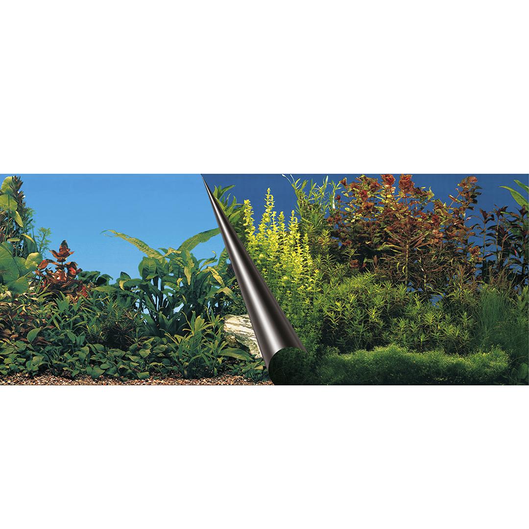 product/a/q/aqua-della_241_108932_multicolor_1.jpg