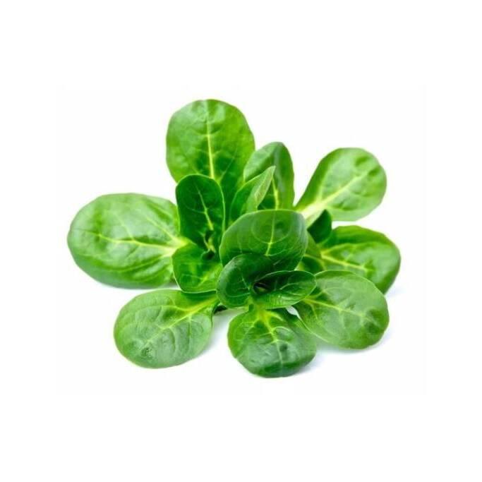 product/b/i/bioponis_bio30155g_vert_2.jpg