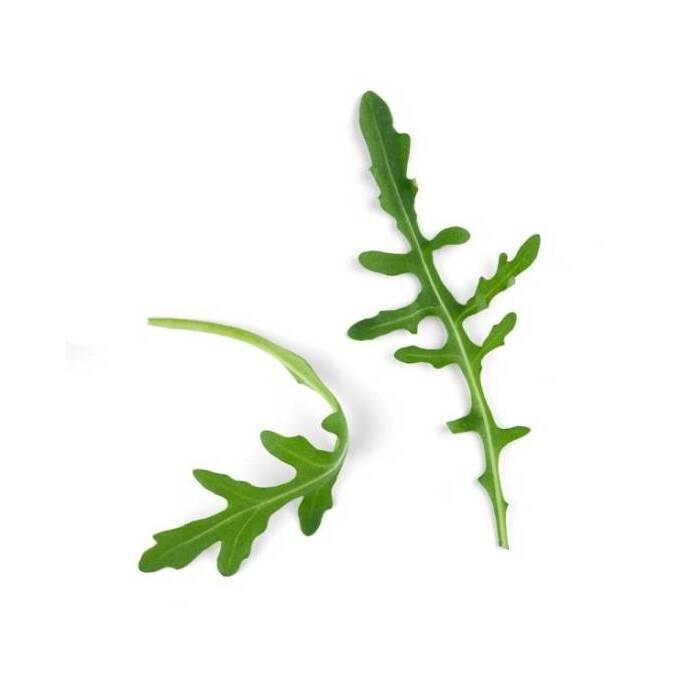 product/b/i/bioponis_bio30159g_vert_2.jpg