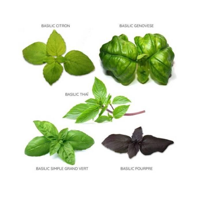 product/b/i/bioponis_bio30163g_vert_2.jpg