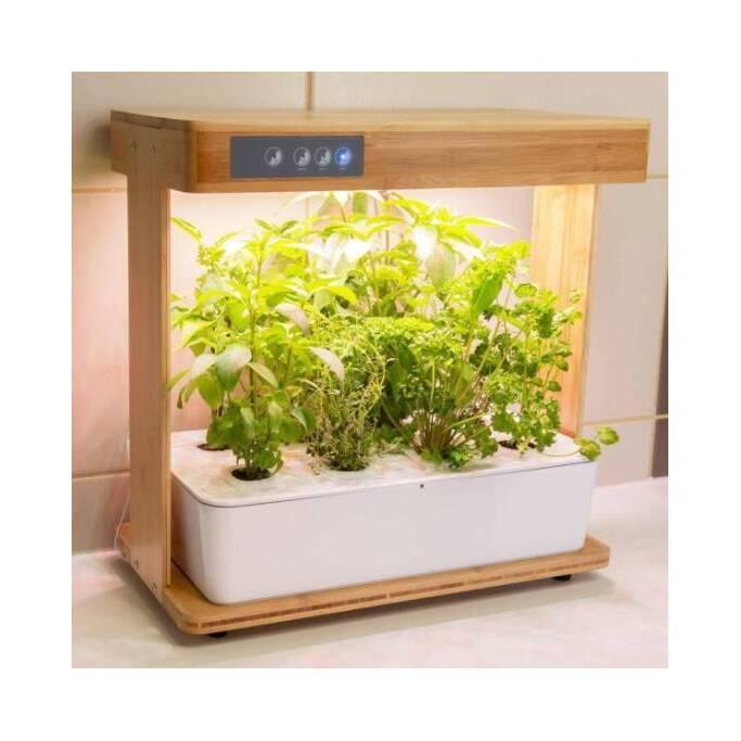 product/b/i/bioponis_bio34003_bamboo_1.jpg