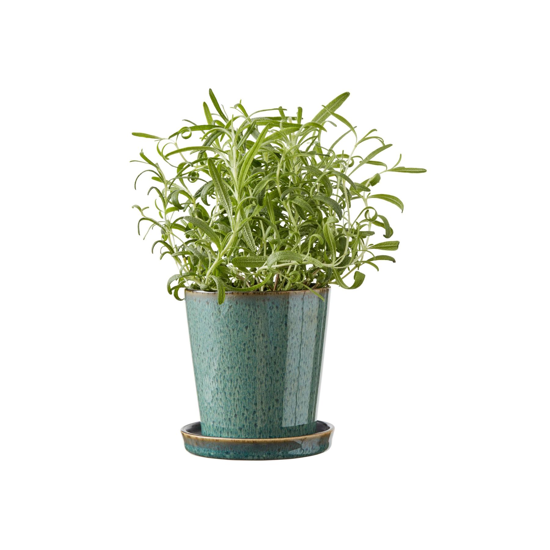 product/b/i/bitz_872760_7-nw042624.jpg