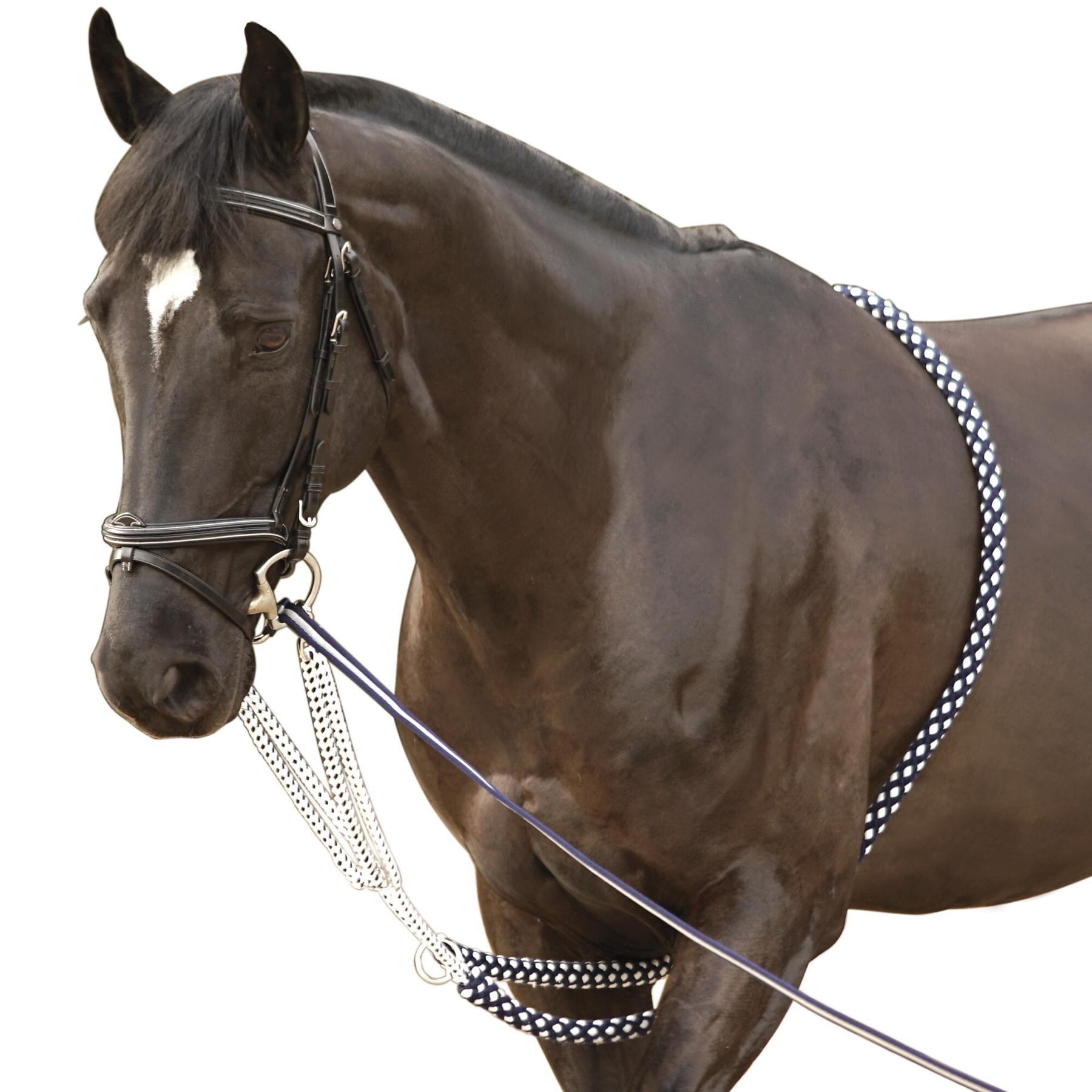product/c/a/canter_105701-marine-blanc_1.jpg
