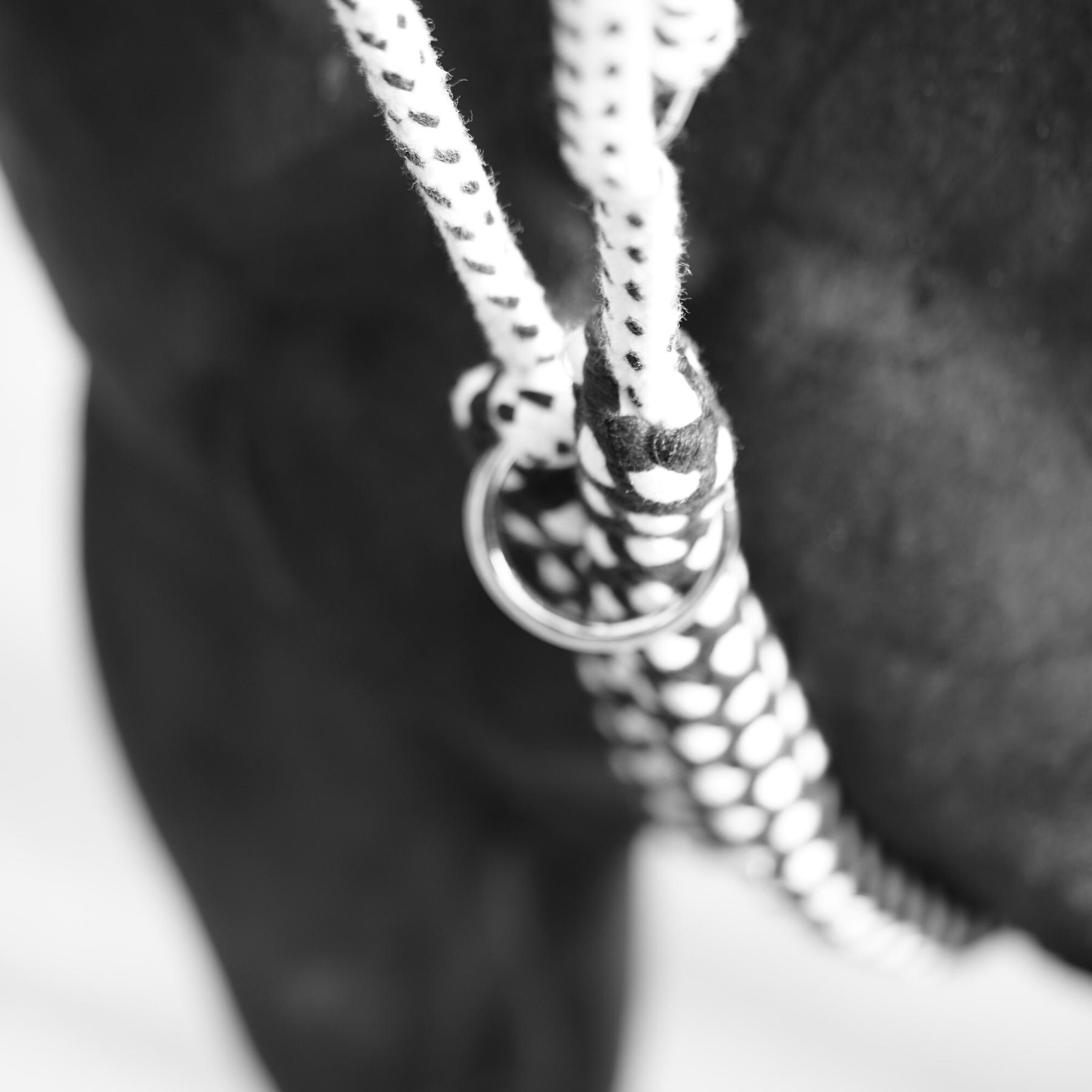 product/c/a/canter_105701-marine-blanc_2.jpg