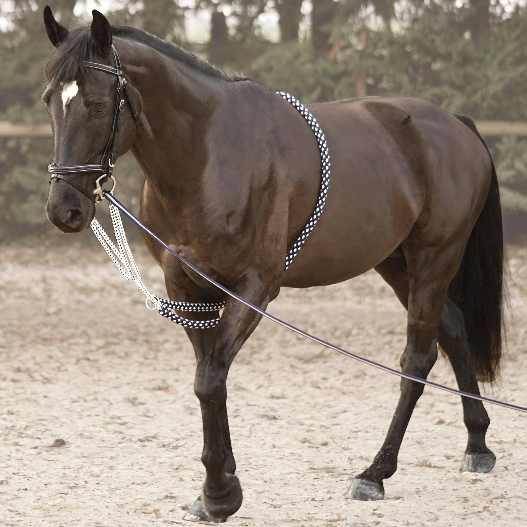 product/c/a/canter_105701-marine-blanc_3.jpg