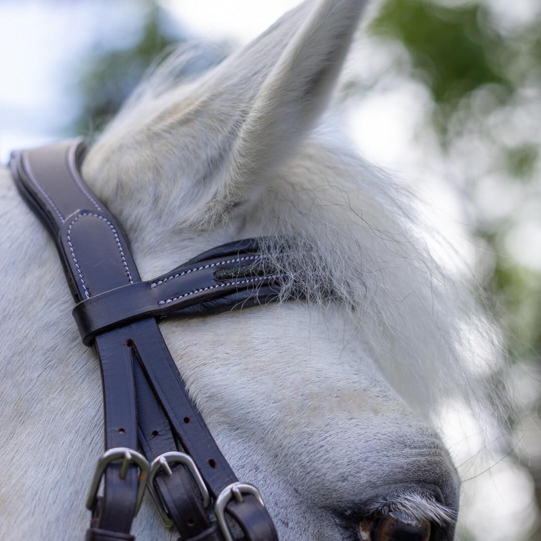 product/c/a/canter_111117-marron_vert_marron-vert_2.jpg