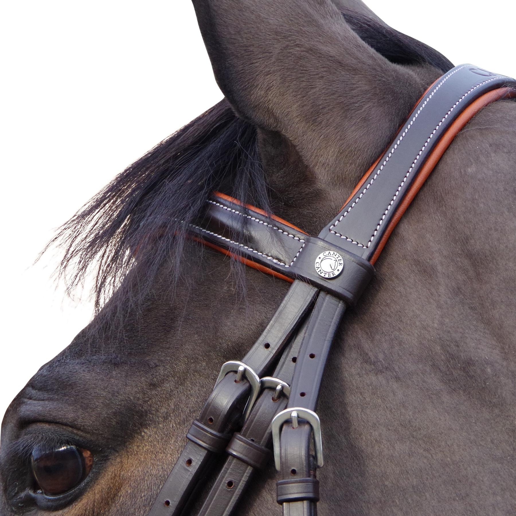 product/c/a/canter_111130-marron_2.jpg