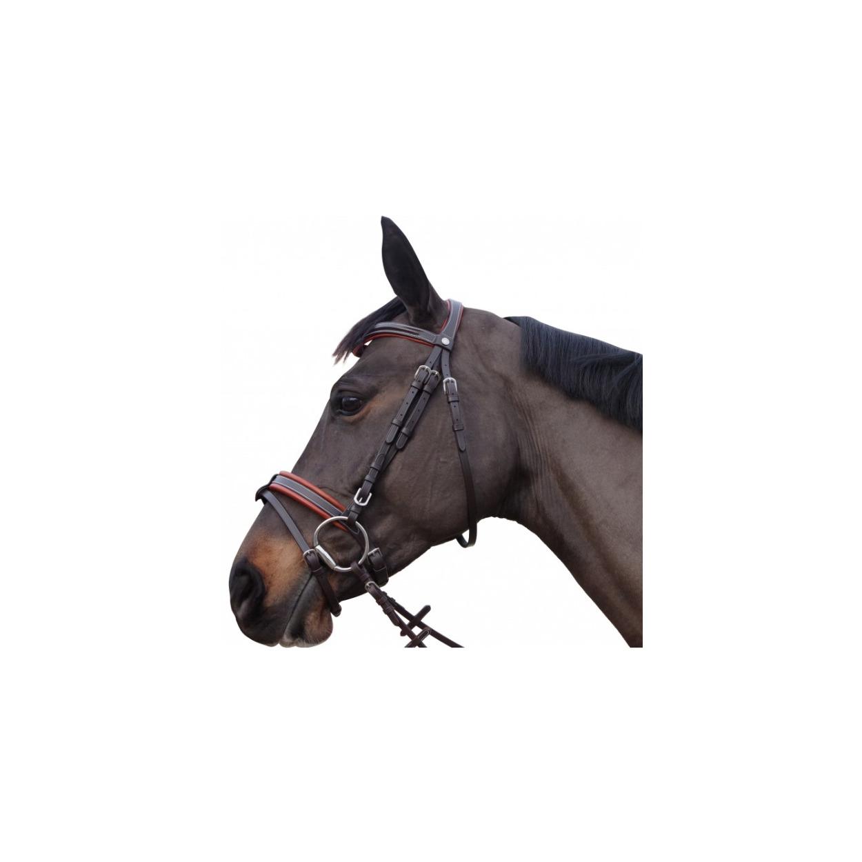 product/c/a/canter_111130-noir_mag4568639_1.jpg