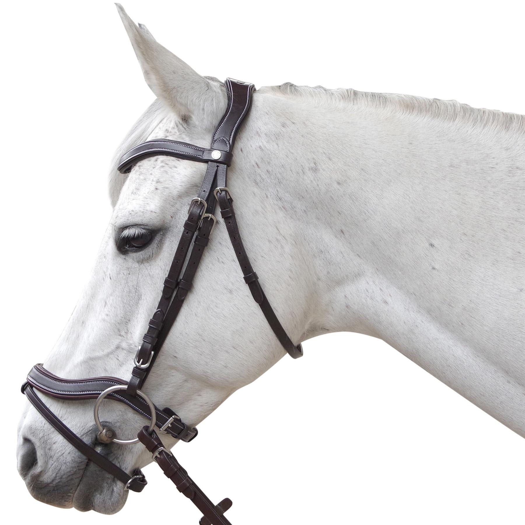 product/c/a/canter_111131-marron_marron_1.jpg