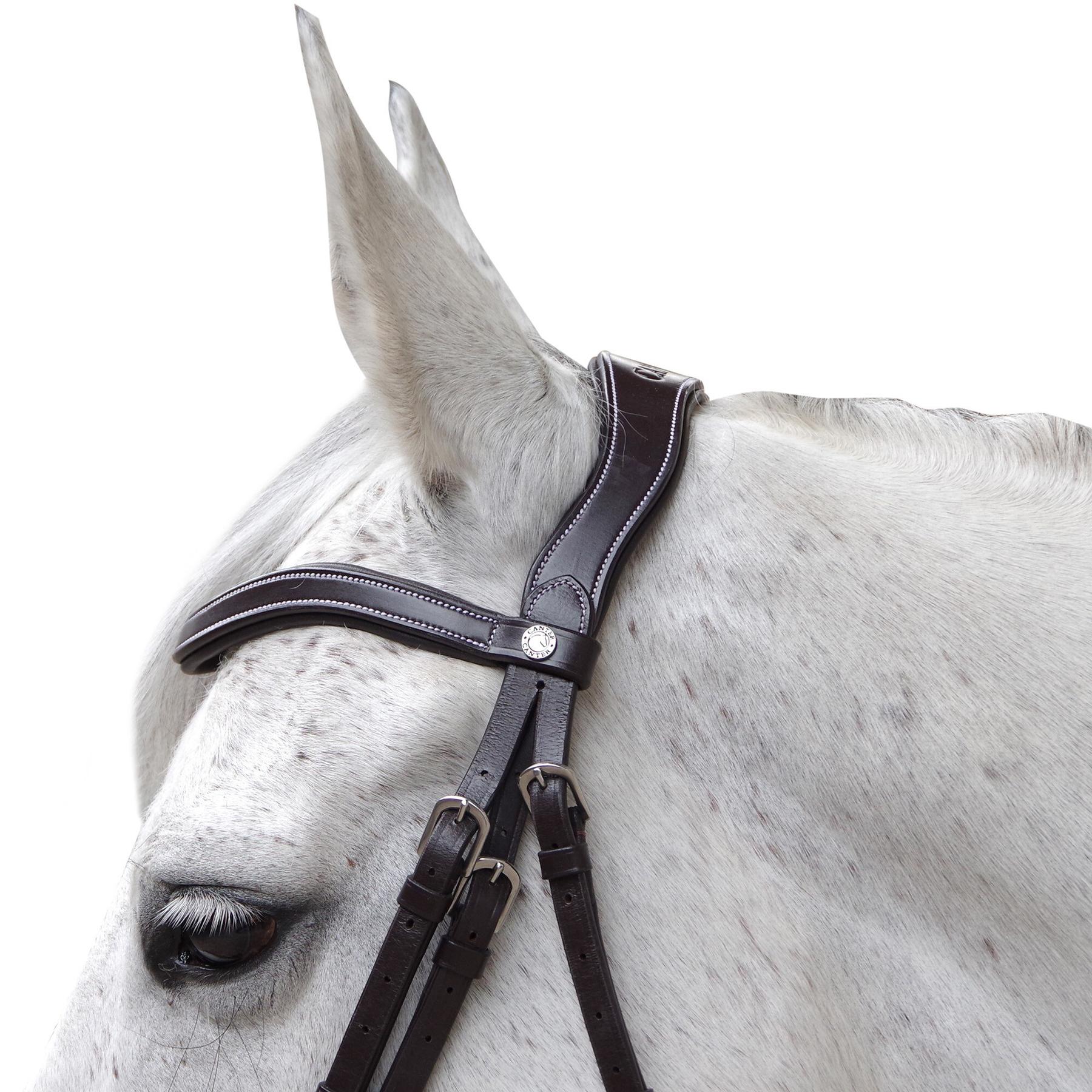 product/c/a/canter_111131-marron_marron_2.jpg