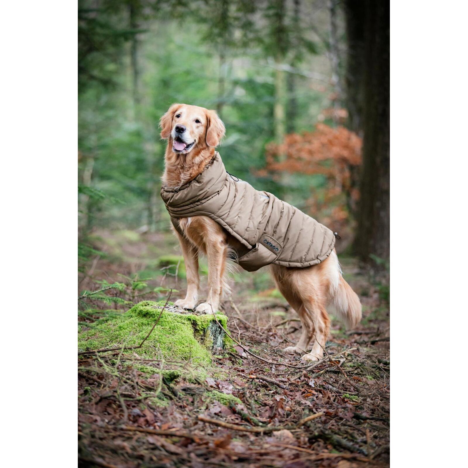 product/c/a/catago_30013251809_kangaroo_2.jpg