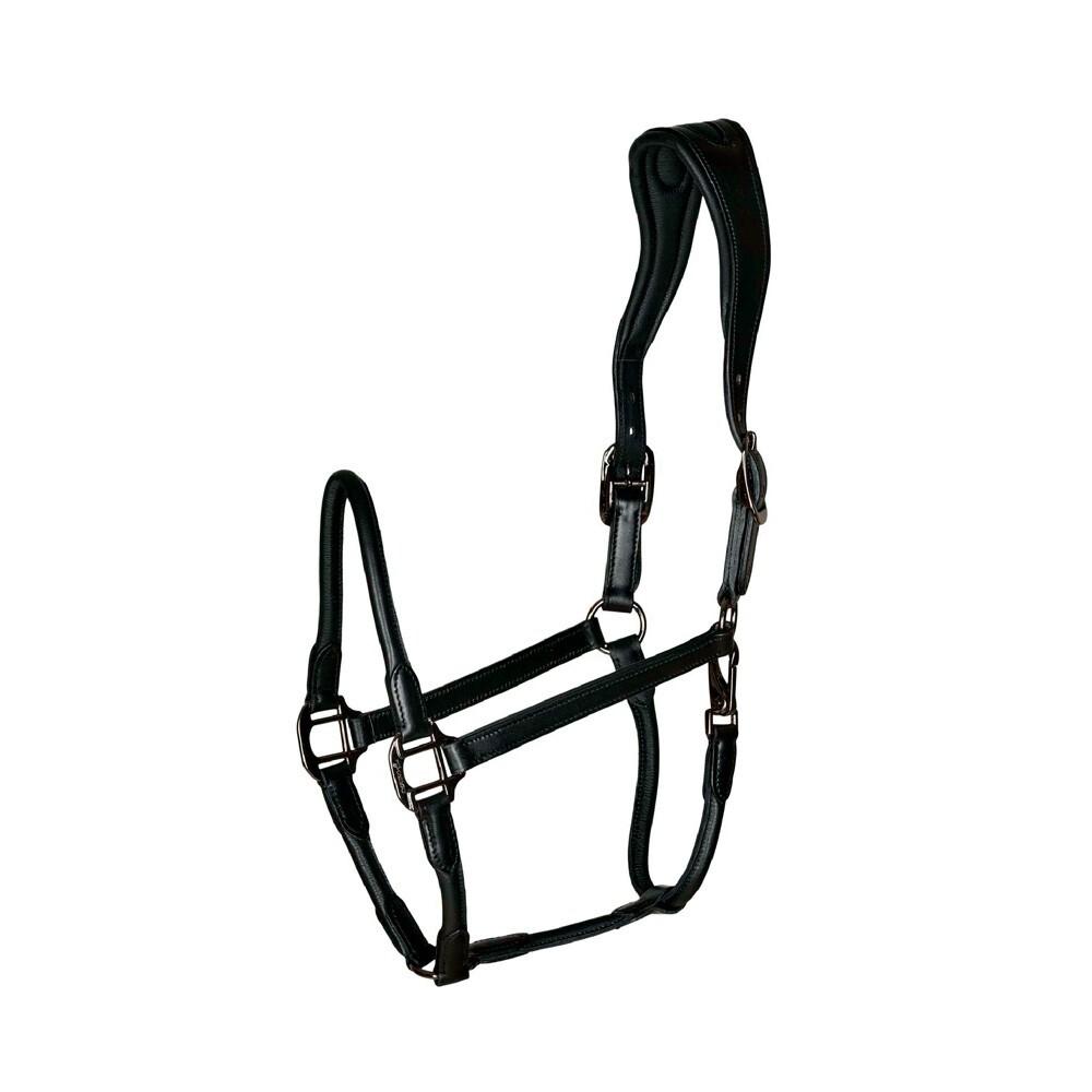 product/c/a/catago_41412001_black_1.jpg