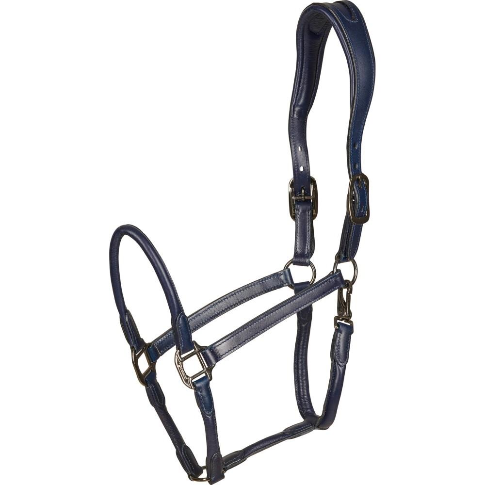 product/c/a/catago_41412014_navy_1.jpg