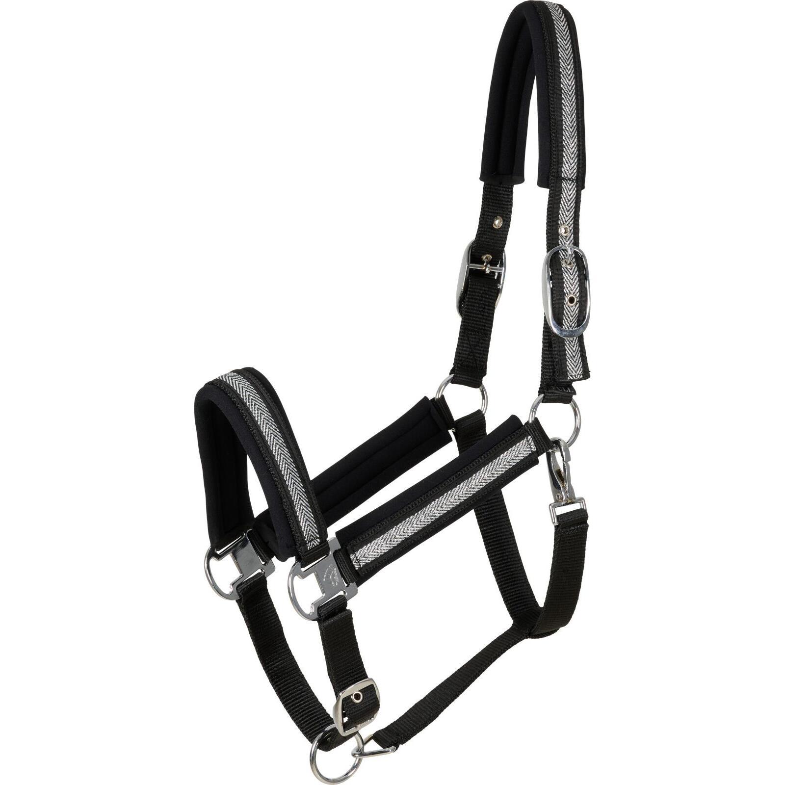 product/c/a/catago_4160200134_black-silver_1.jpg