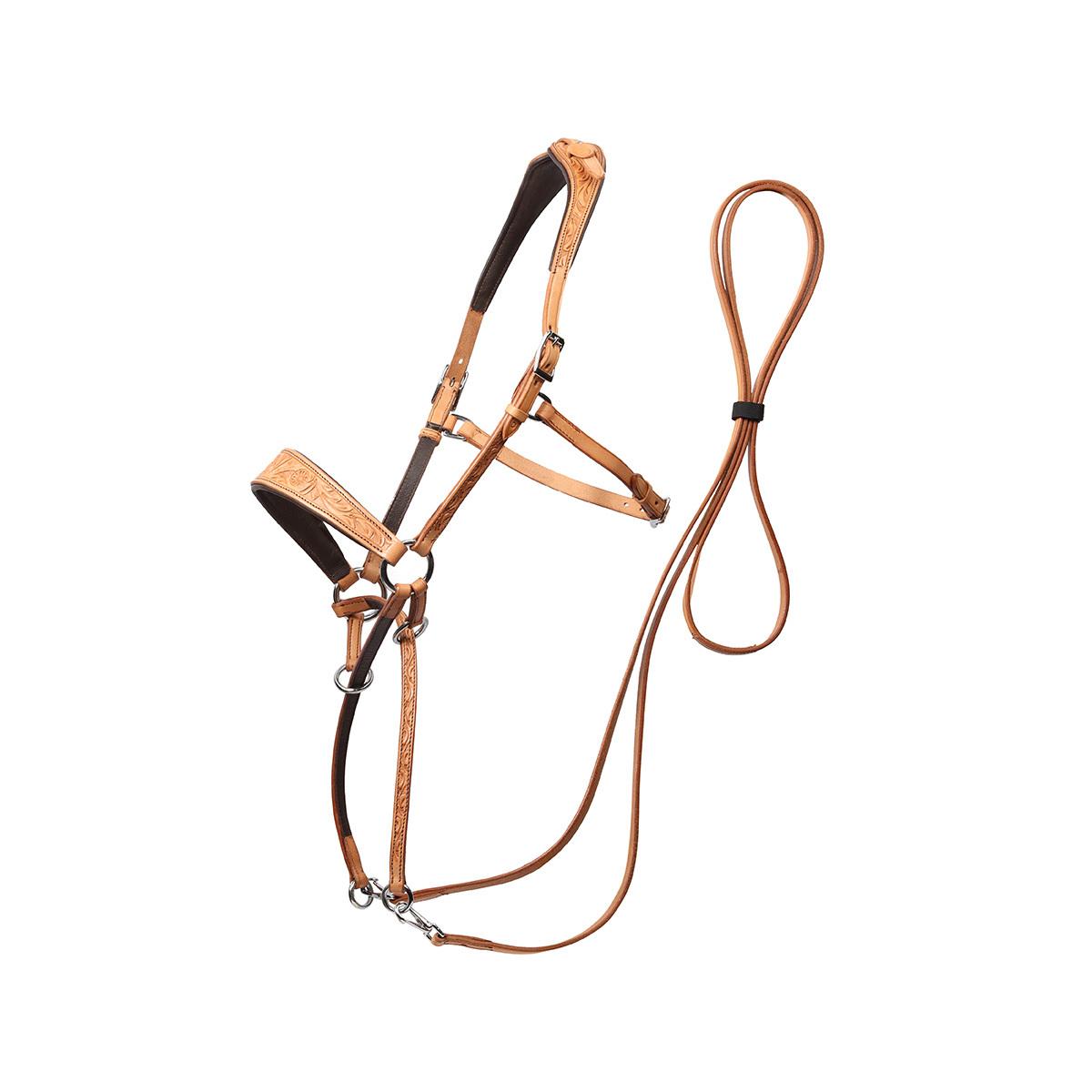 product/e/d/edix-saddles_8.9010.2150015.jpg