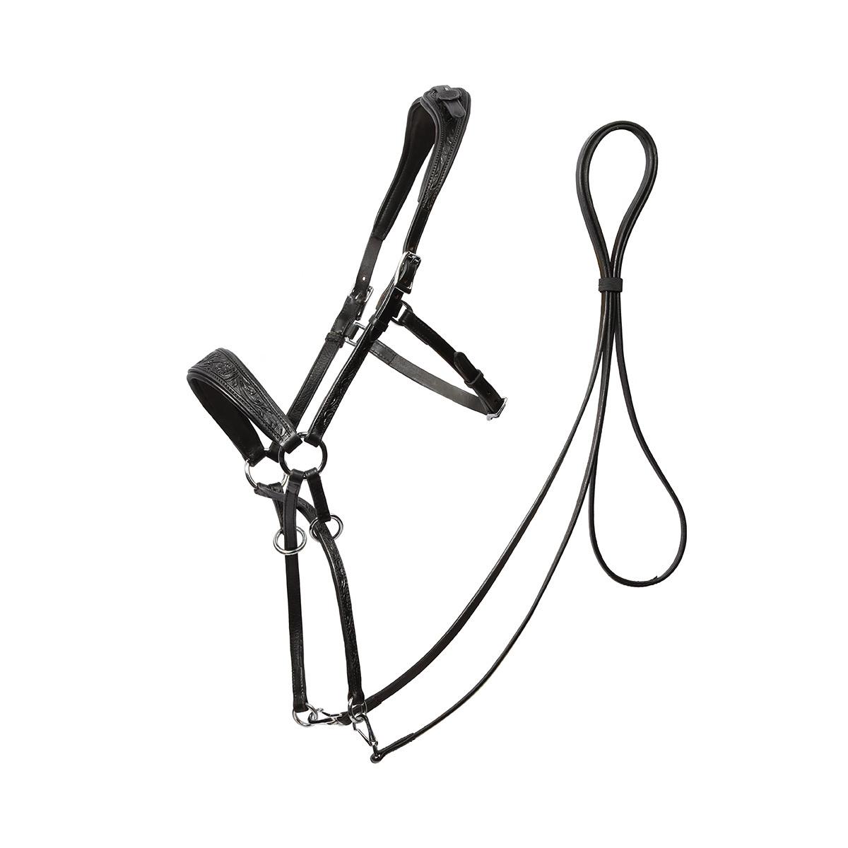 product/e/d/edix-saddles_8.9010.2170015.jpg