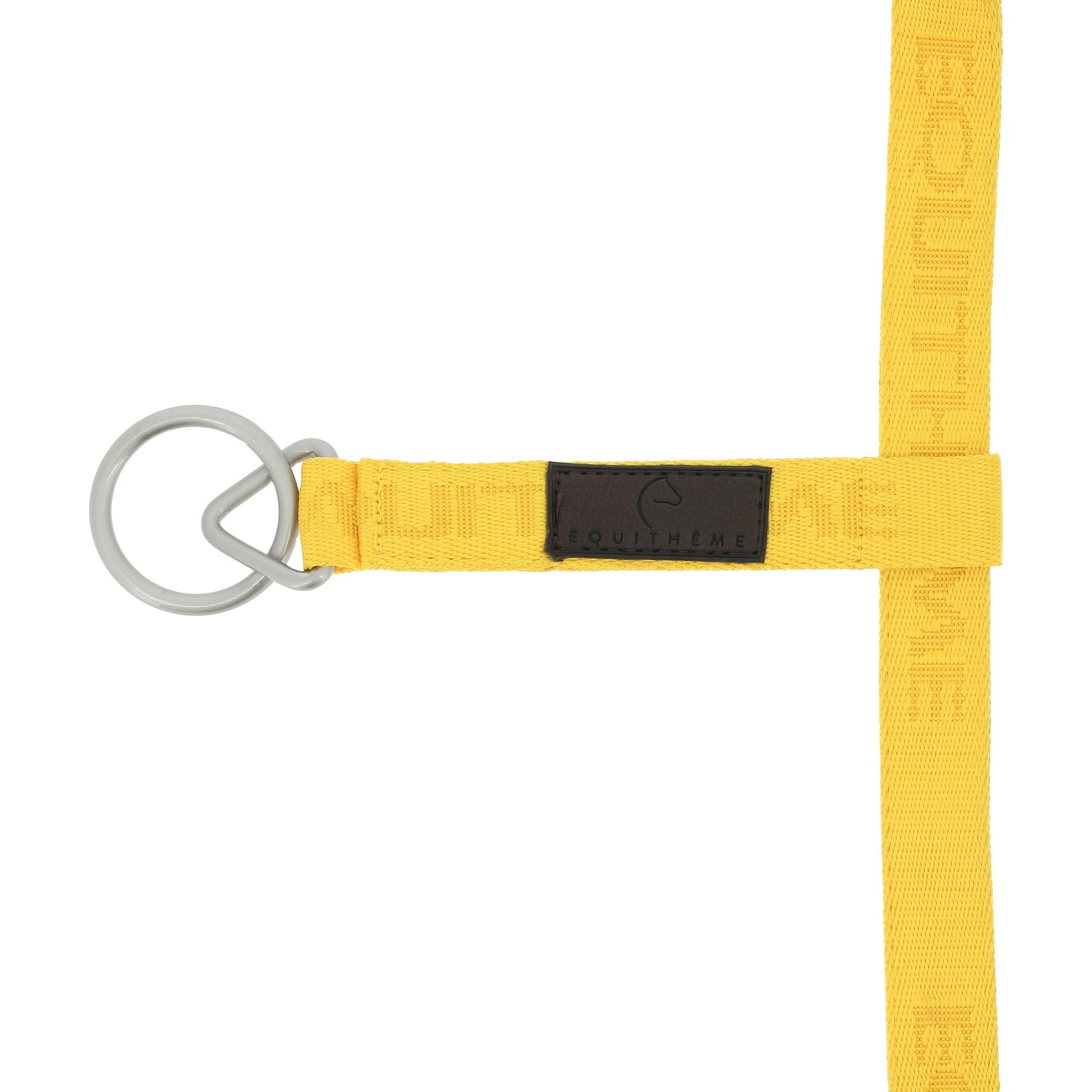product/e/k/ekkia_510_259_310_2_1.jpg