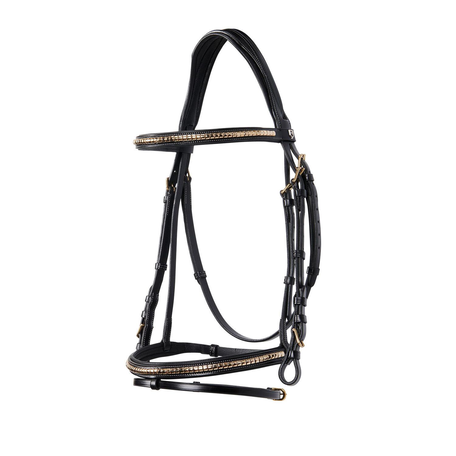 product/e/q/equestro_et01010-black_black_1.jpg
