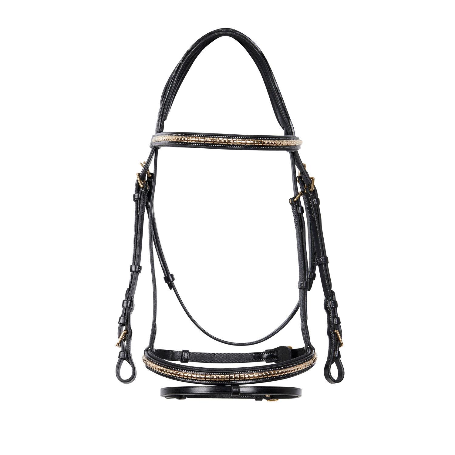 product/e/q/equestro_et01010-black_black_2.jpg
