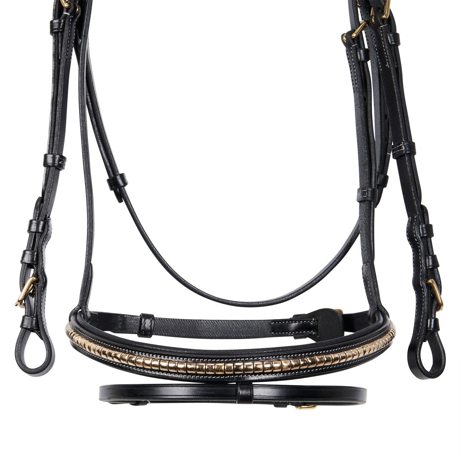 product/e/q/equestro_et01010-black_black_4.jpg