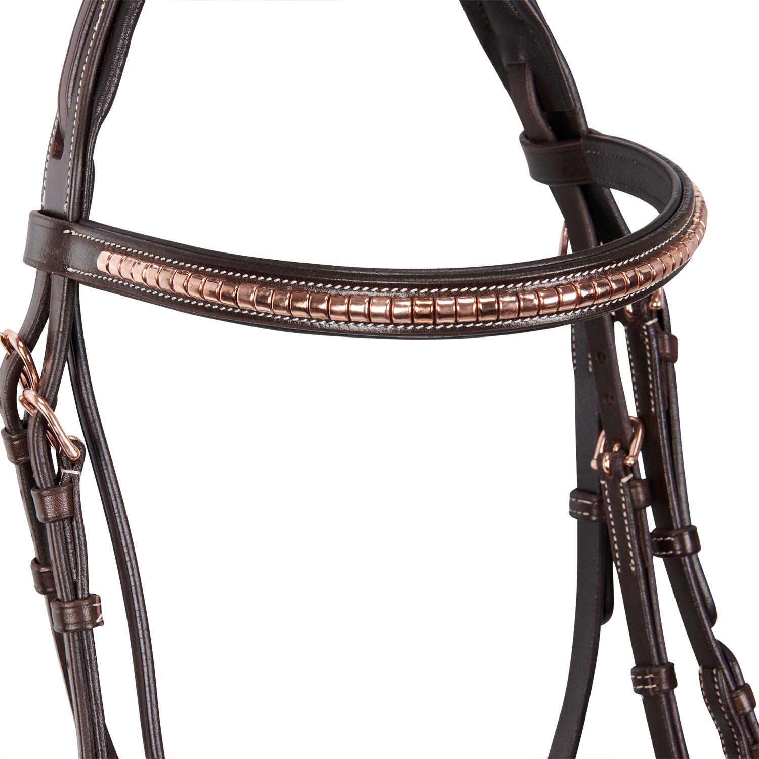 product/e/q/equestro_et01013-darkbrown_darkbrown_5.jpg