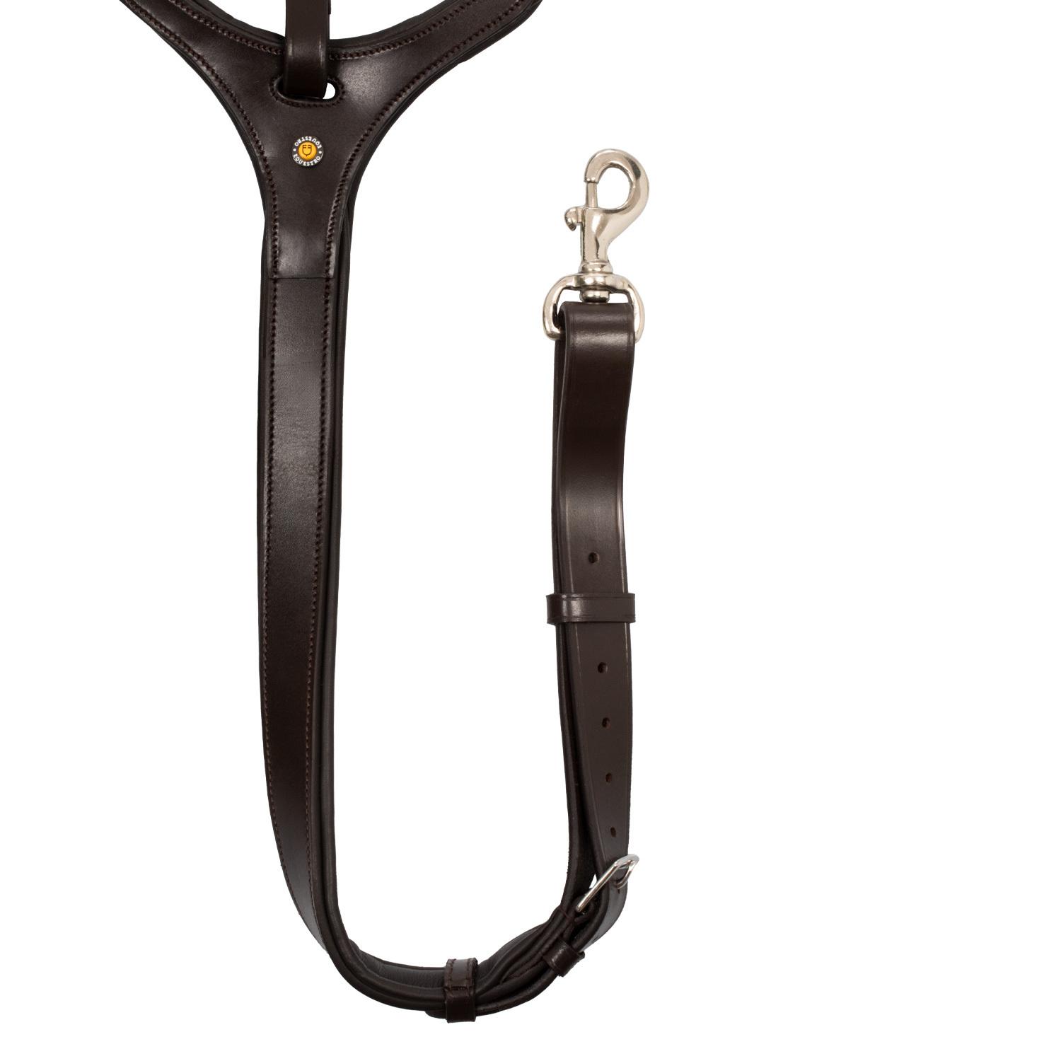 product/e/q/equestro_eth02006-darkbrown_darkbrown_5.jpg