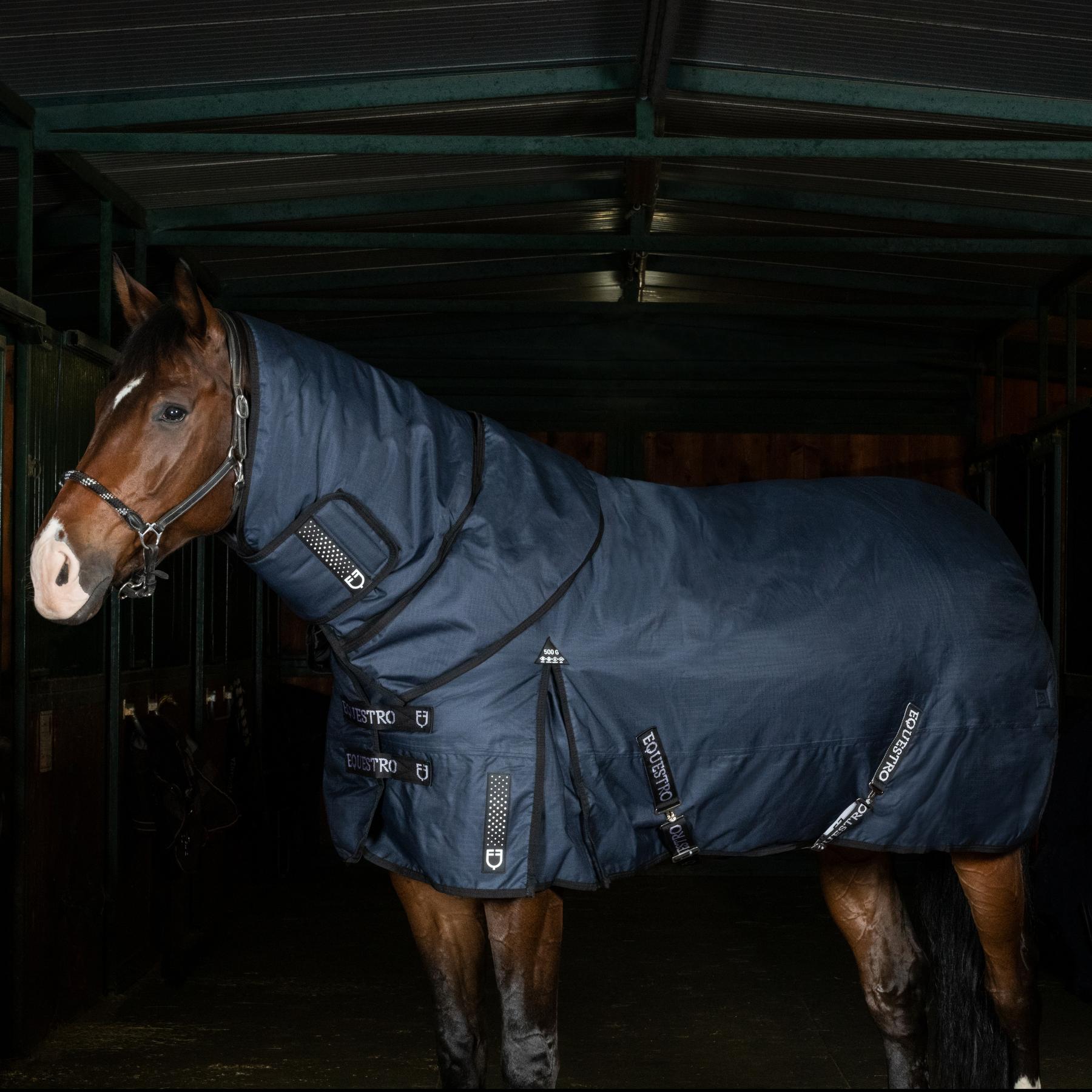 product/e/q/equestro_eth04002-navy_navy_6.jpg