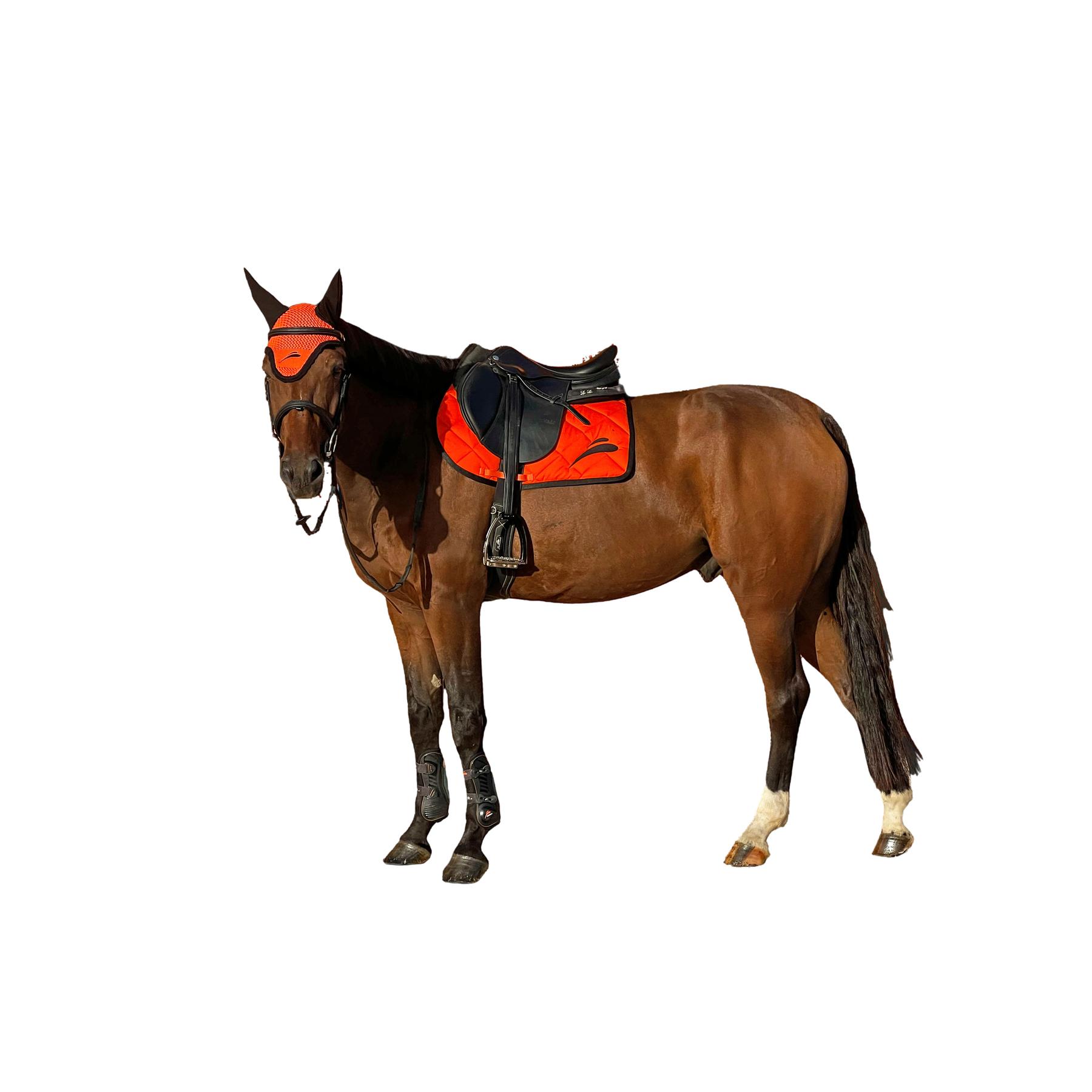 product/e/q/equick_8050247330011_brown_1.jpg
