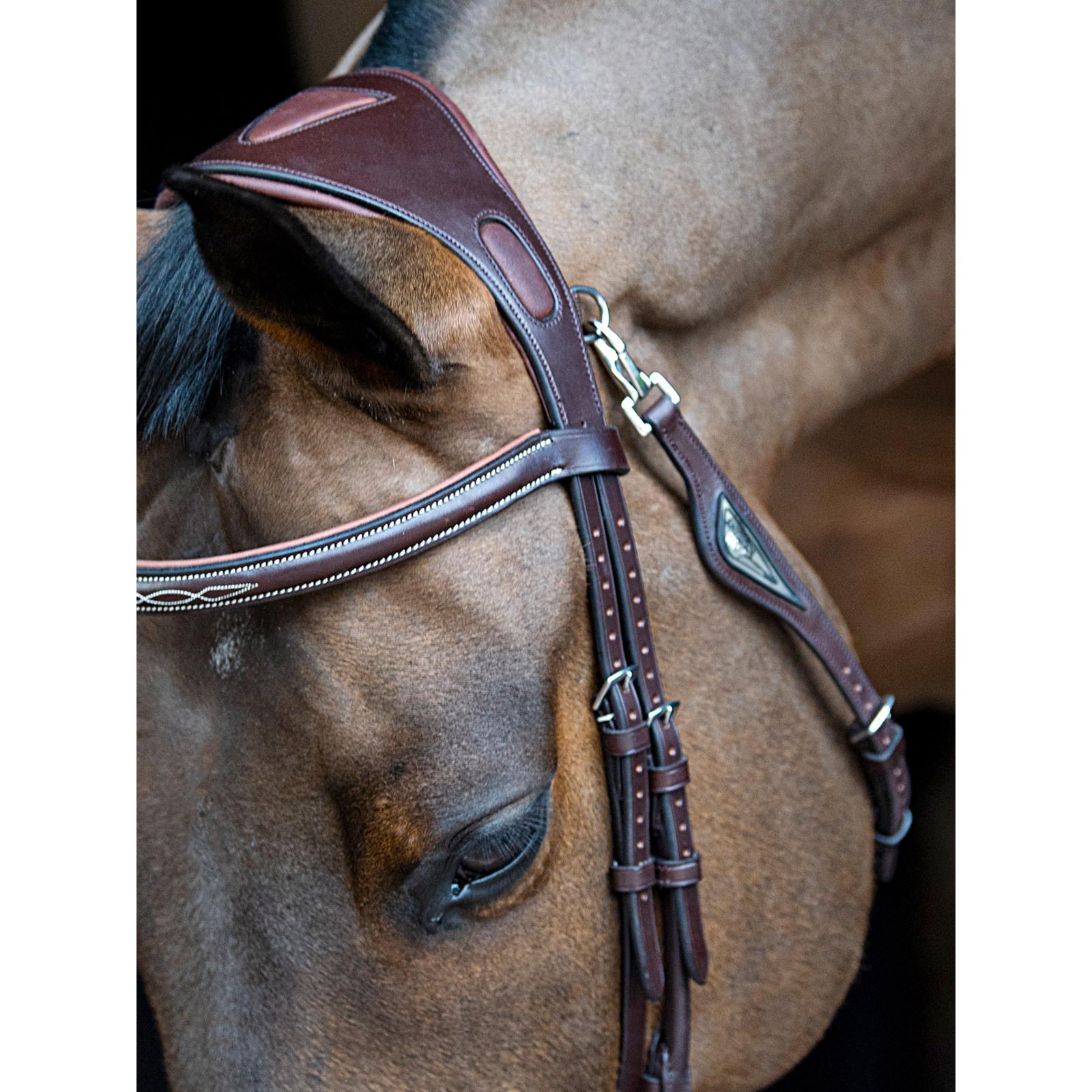 product/e/q/equiline_sc013php0411-006_3.jpg