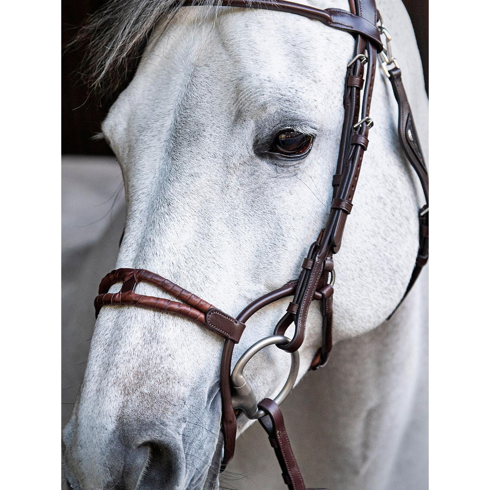 product/e/q/equiline_sc013pnb0444-012_3.jpg
