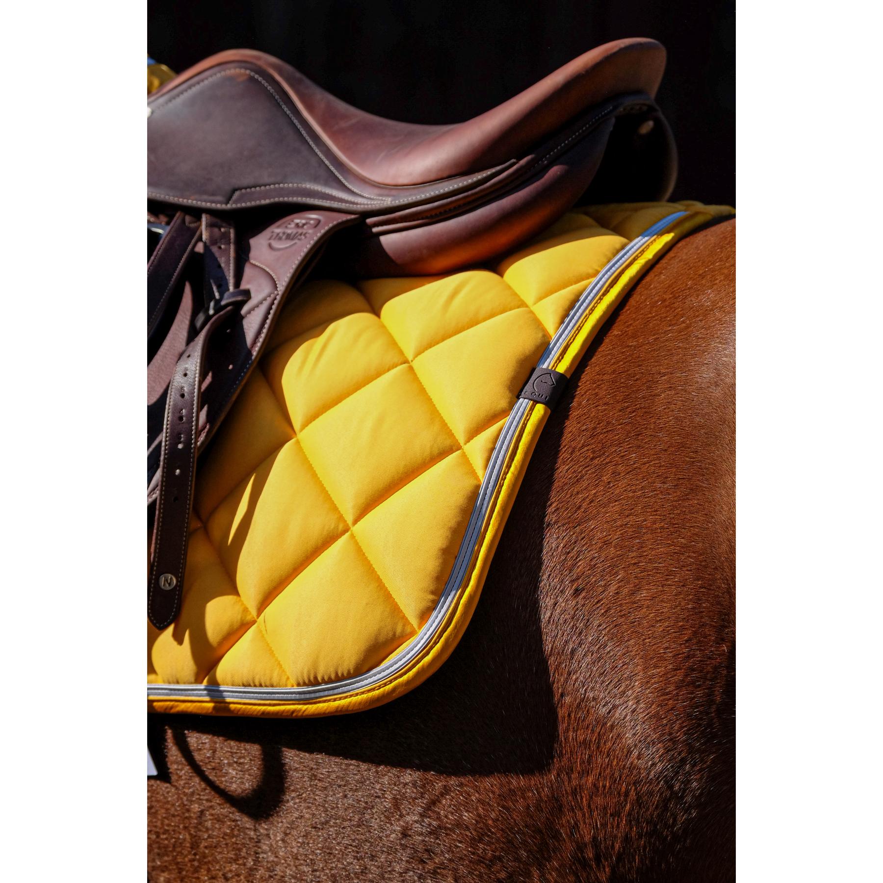 product/e/q/equitheme_204_773_010_ambi1.jpg