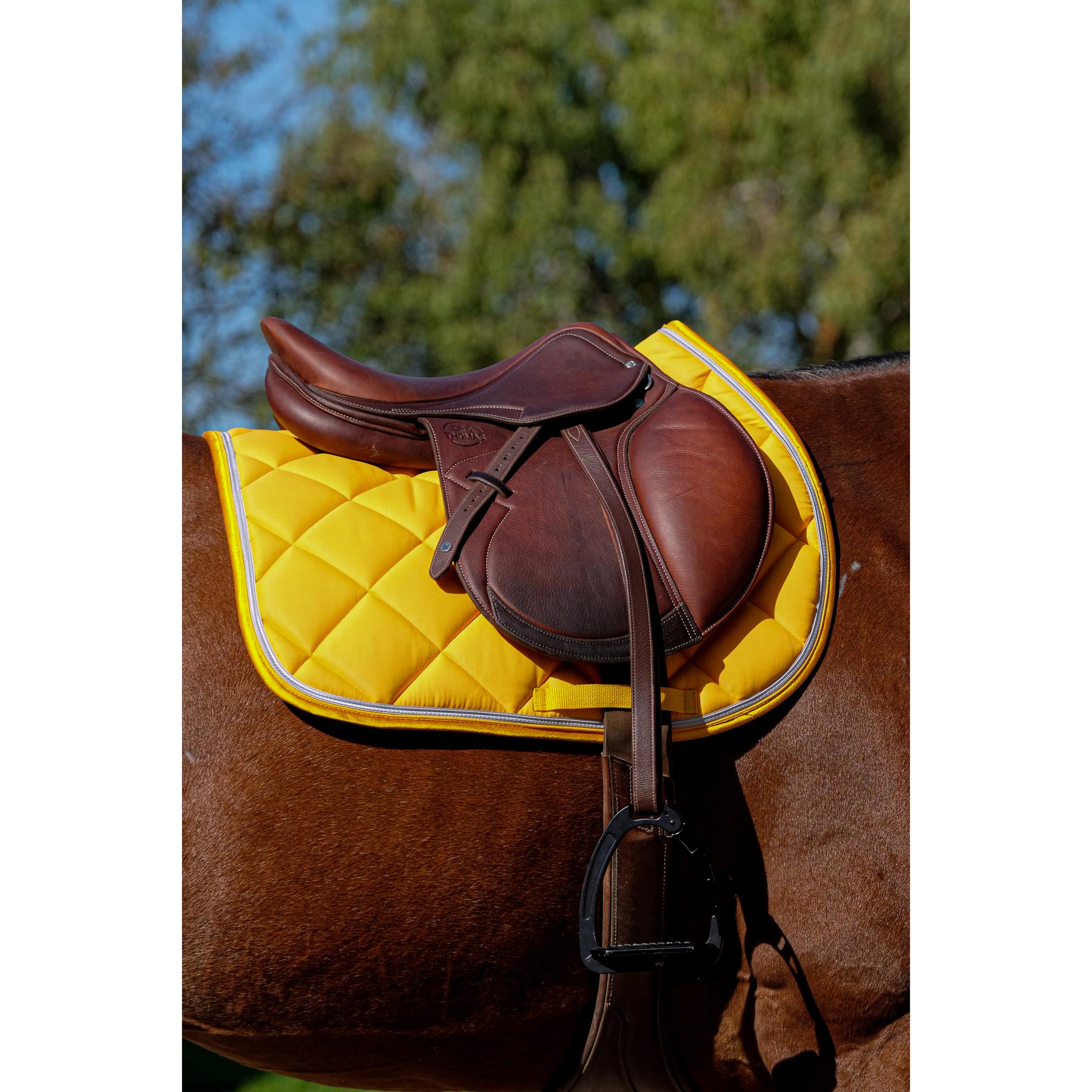 product/e/q/equitheme_204_773_010_ambi2.jpg