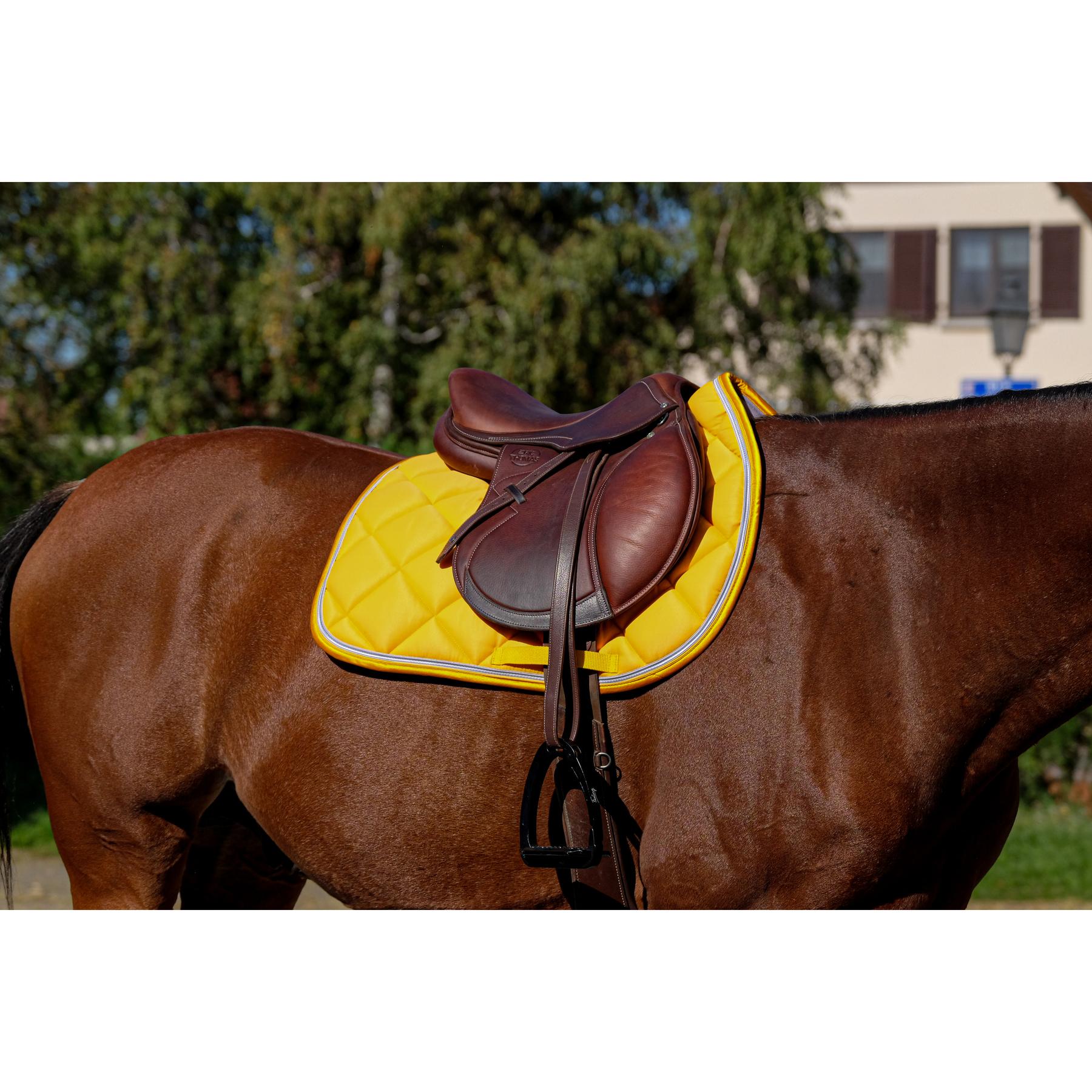 product/e/q/equitheme_204_773_010_ambi3.jpg