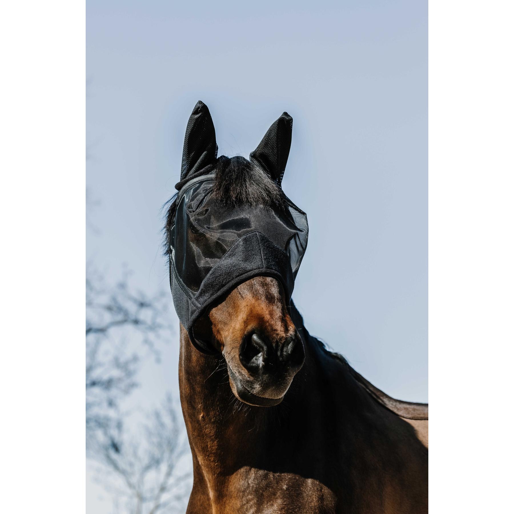 product/e/q/equitheme_306018001_noir_2.jpg