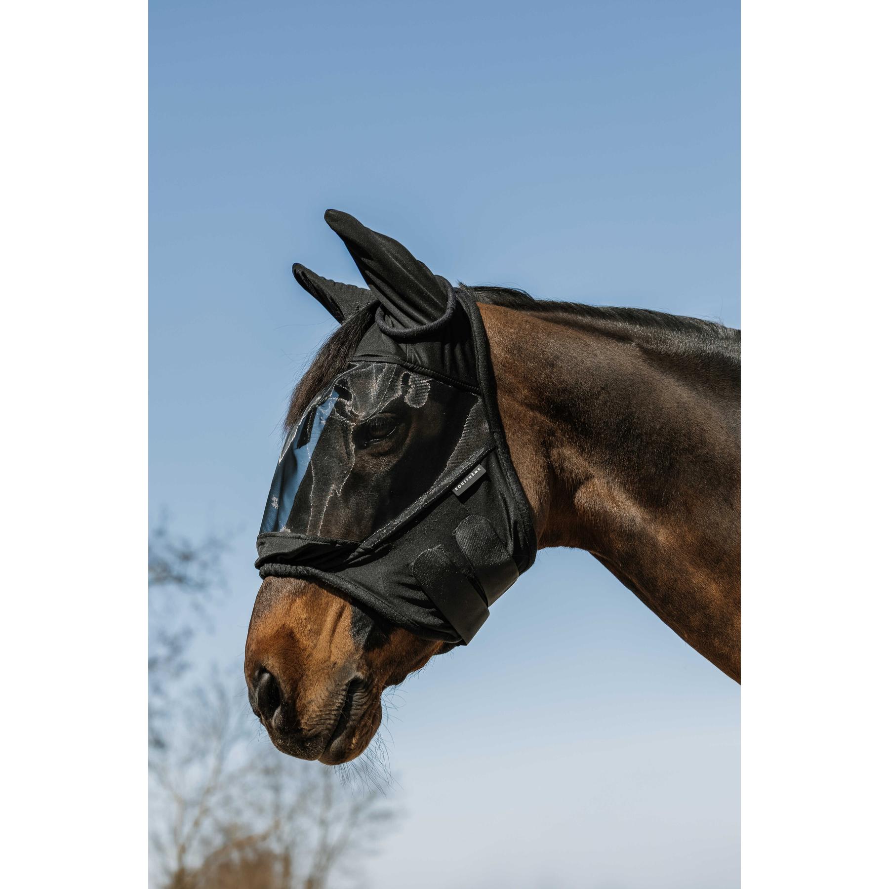 product/e/q/equitheme_306019001_noir_1.jpg