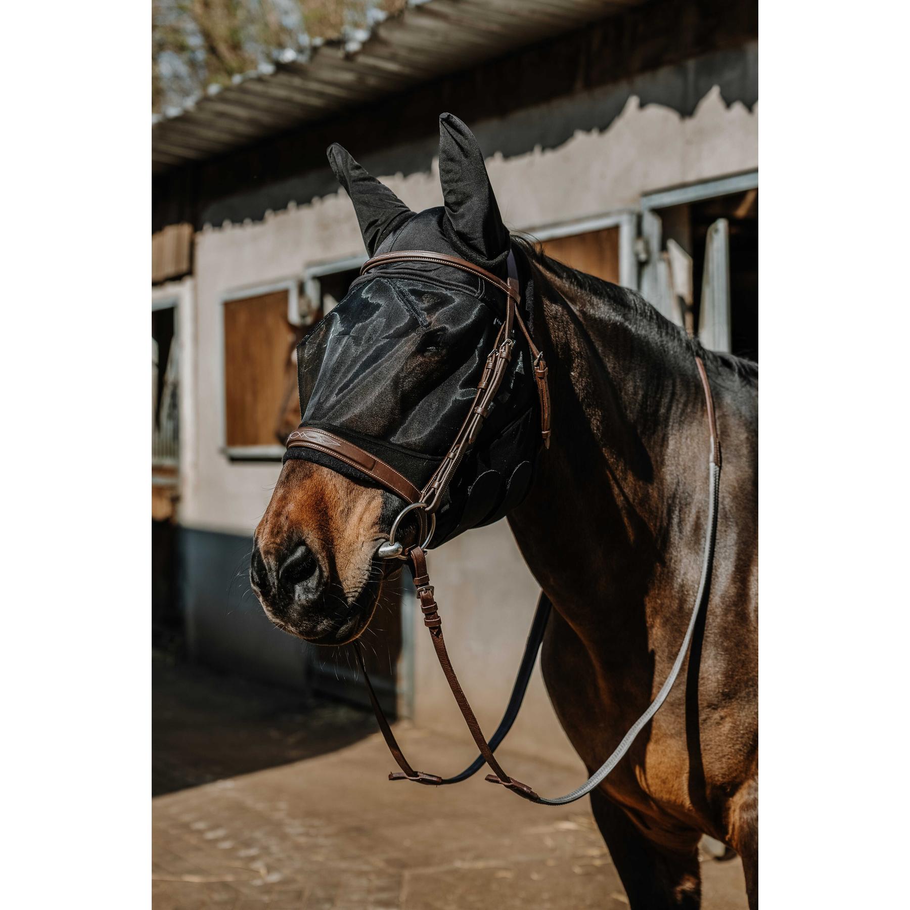 product/e/q/equitheme_306030201_noir_2.jpg