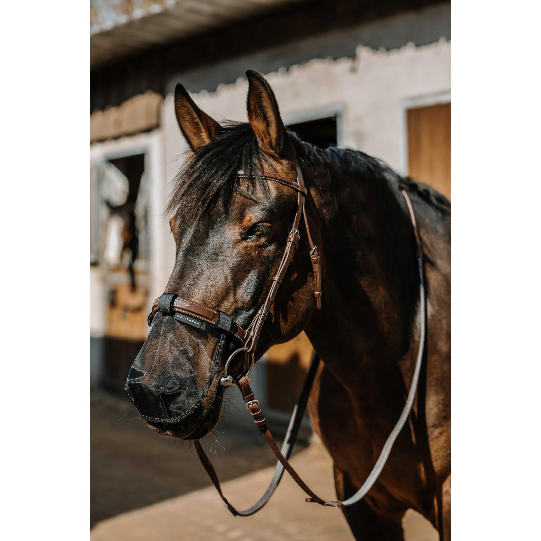 product/e/q/equitheme_306036201_noir_2.jpg