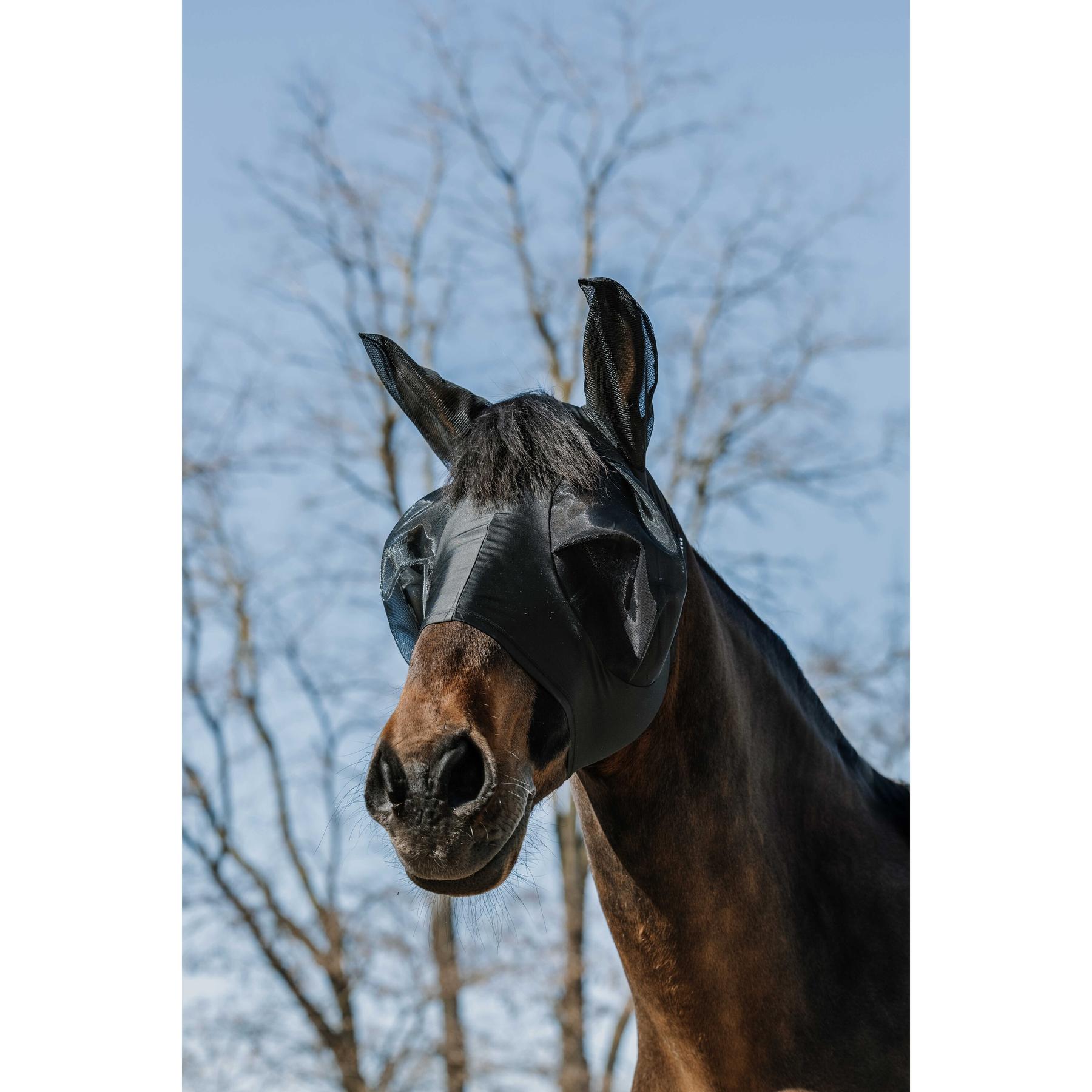 product/e/q/equitheme_306041201_noir_1.jpg