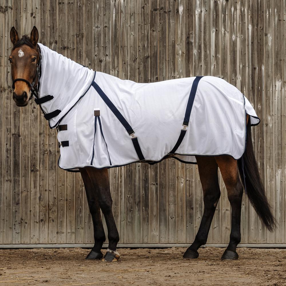product/e/q/equitheme_400350060_blanc_1.jpg