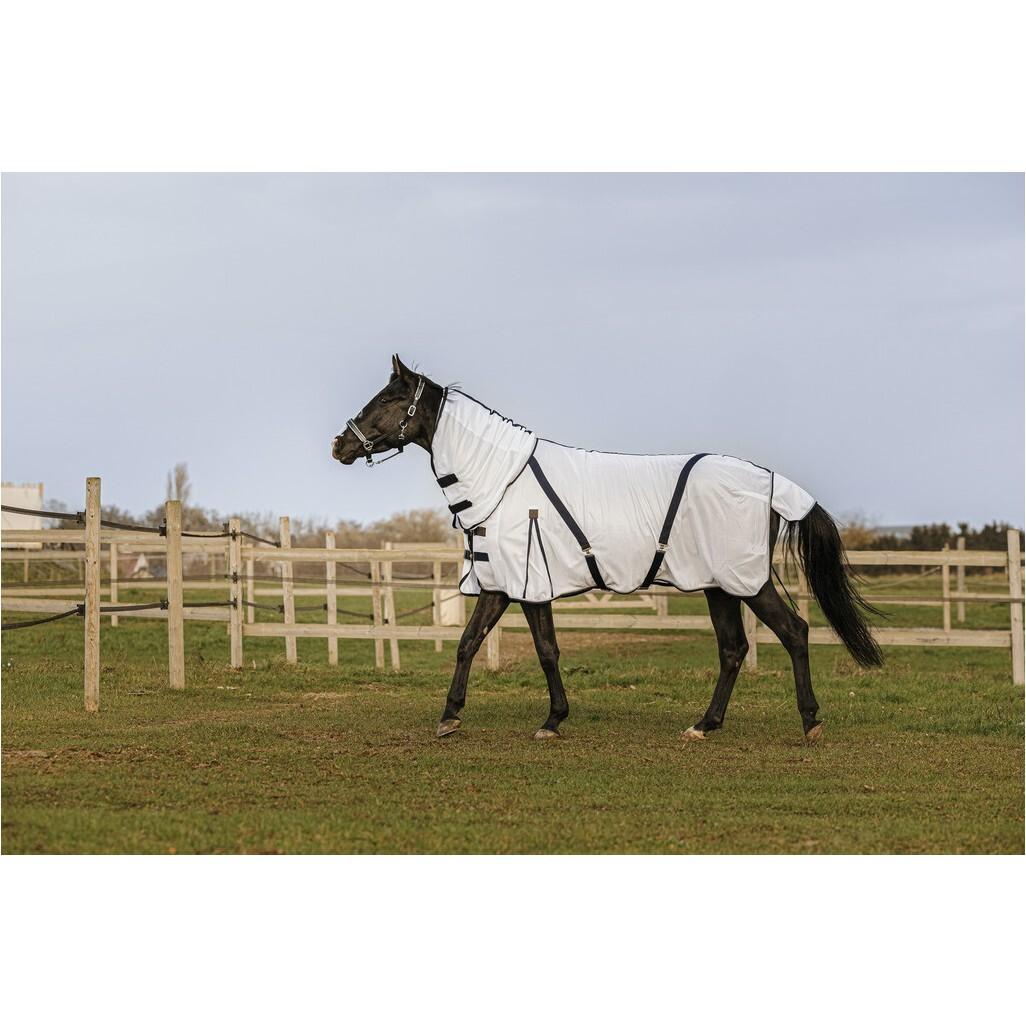 product/e/q/equitheme_400350060_blanc_2.jpg