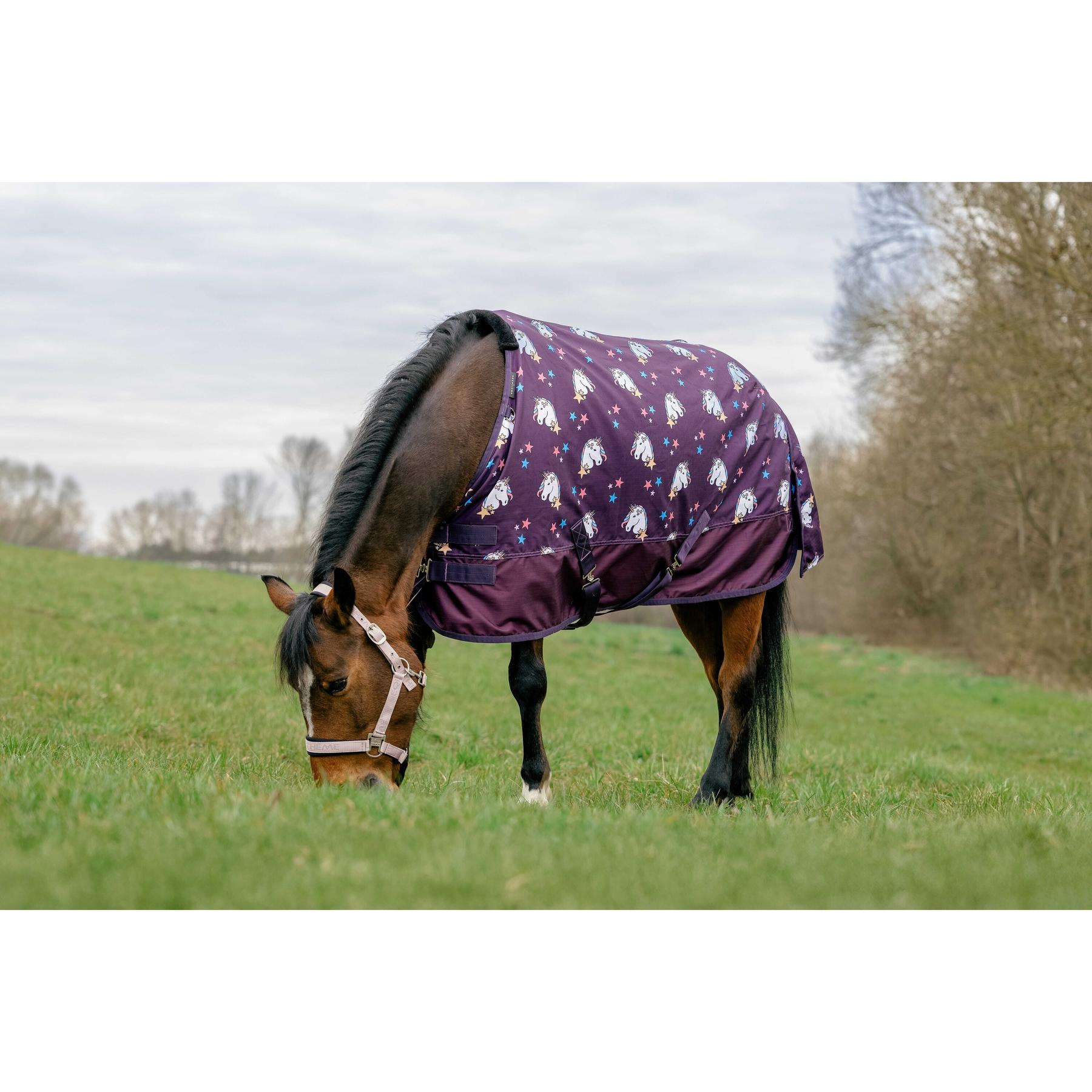 product/e/q/equitheme_400585140_prune_1.jpg