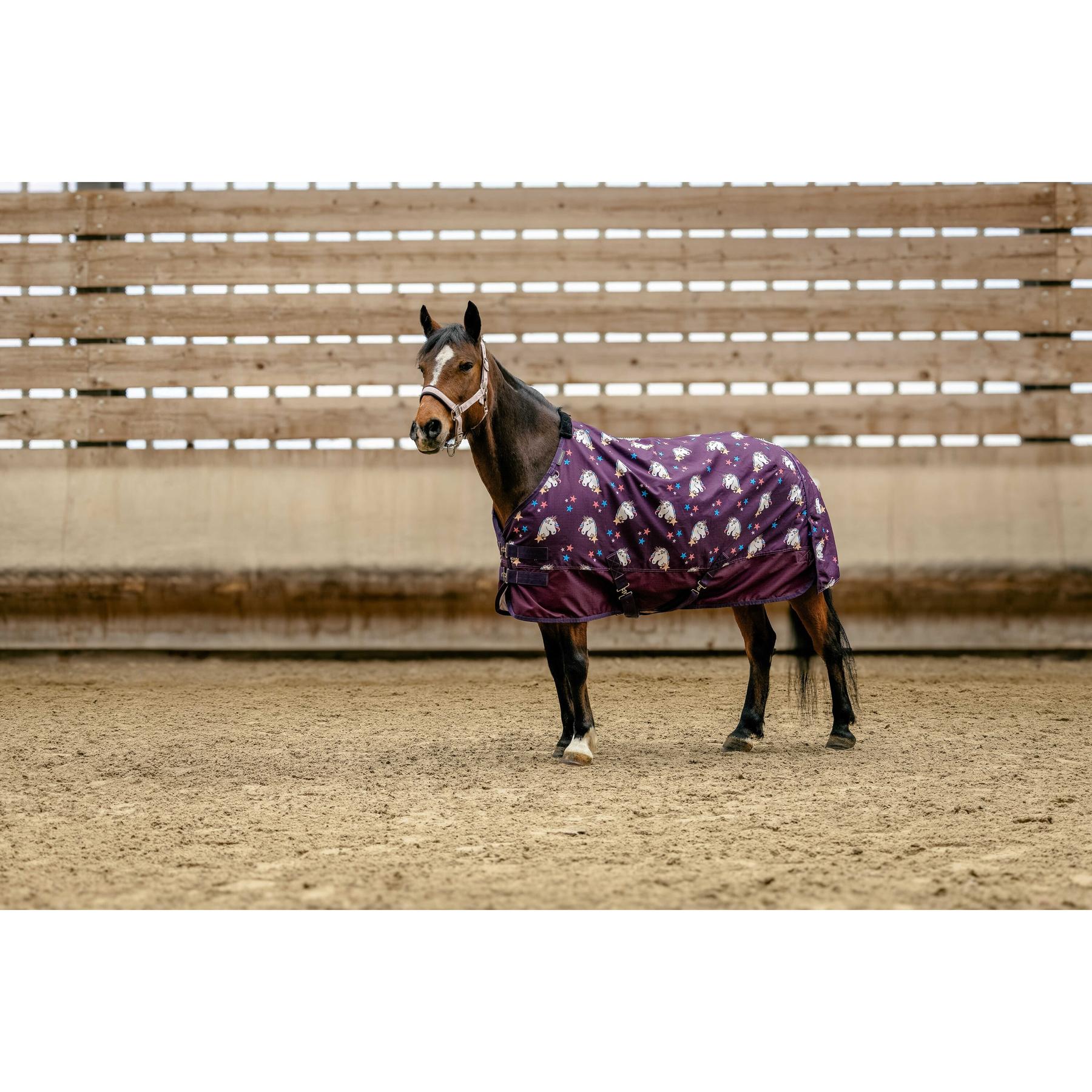 product/e/q/equitheme_400585140_prune_2.jpg